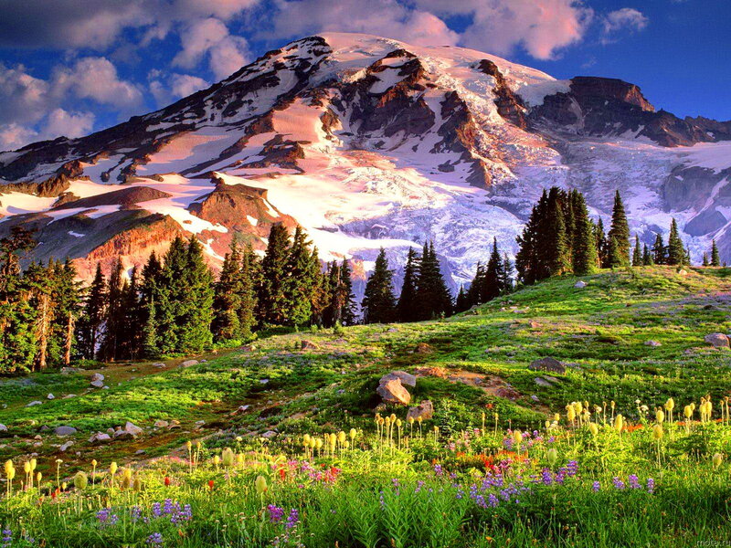 Snow-capped Mountain Peak — Green, Serene, Morning, Photograph