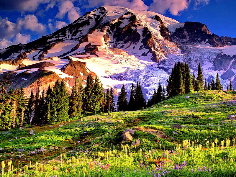 Snow-capped Mountain Peak — Green, Serene, Morning