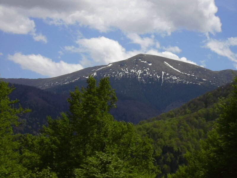Snow-capped Mountain Peak — Green, Serene, Spring