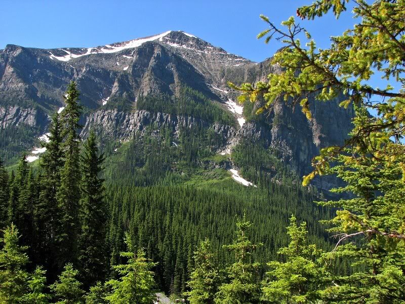 Snow-capped Mountain Peak — Green, Serene, Summer, Photograph, Forest