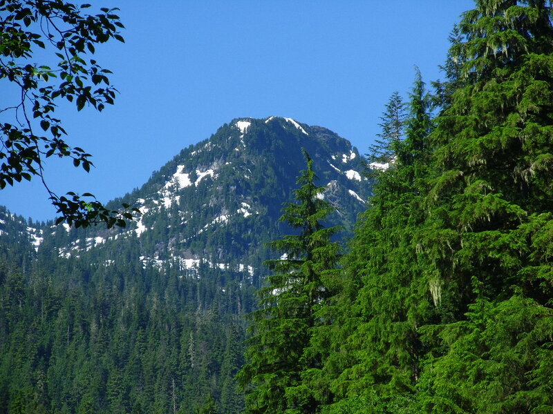 Snow-capped Mountain Peak — Green, Serene, Summer, Photograph