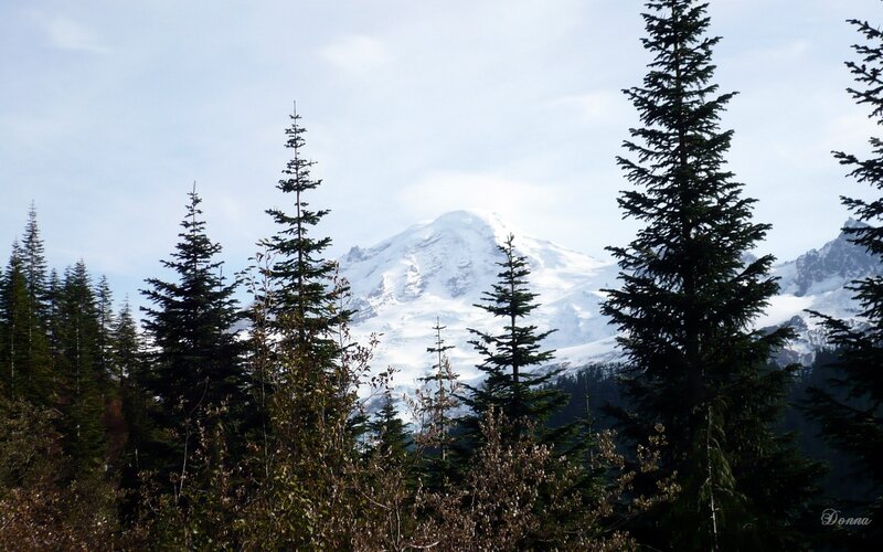 Snow-capped Mountain Peak — Green, Serene, Winter