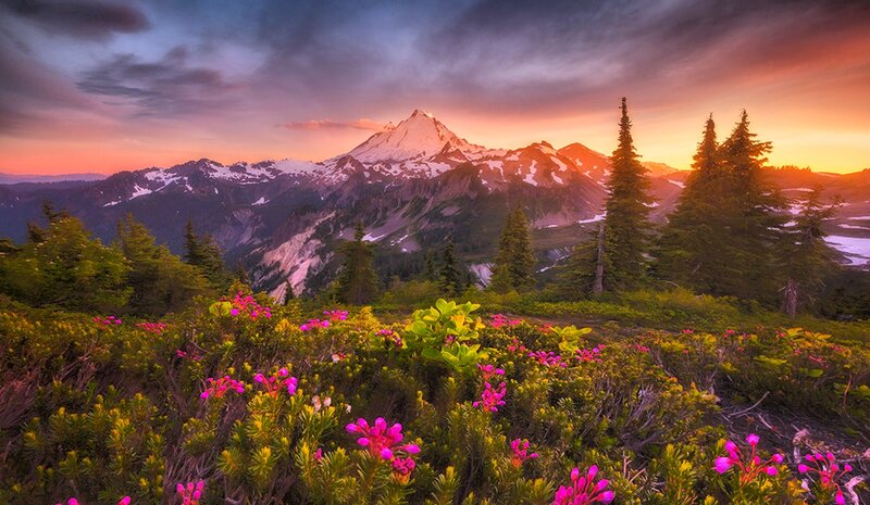 Snow-capped Mountain Peak — Purple, Dramatic, Sunset