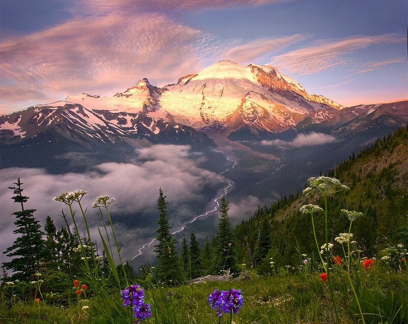 Snow-capped Mountain Peak — Purple, Serene, Sunrise