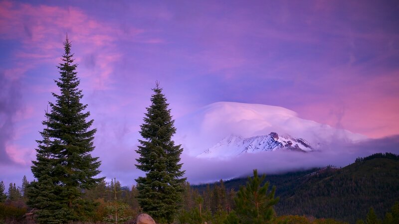 Snow-capped Mountain Peak — Purple, Serene, Sunset, Photograph, Pine Trees