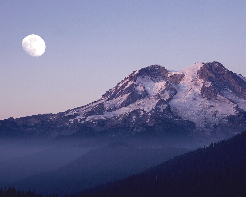Snow-capped Mountain Peak — Purple