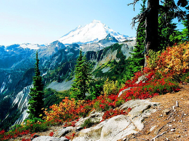 Snow-capped Mountain Peak — Red, Serene