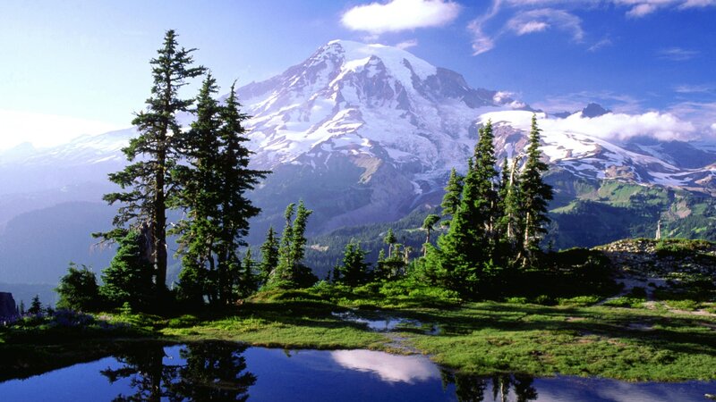 Snow-capped Mountain Peak — Trees