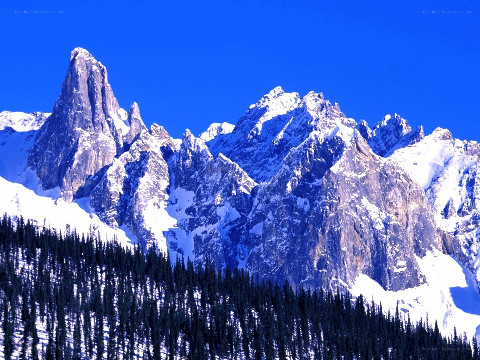 Snow-capped mountain peaks