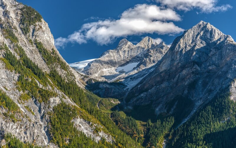 Snow-capped Mountain Peaks — Blue, Dramatic, Afternoon, Photograph, Forest