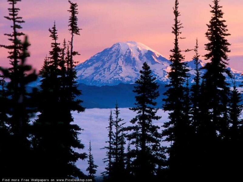 Snow-capped Mountain — Pink, Serene