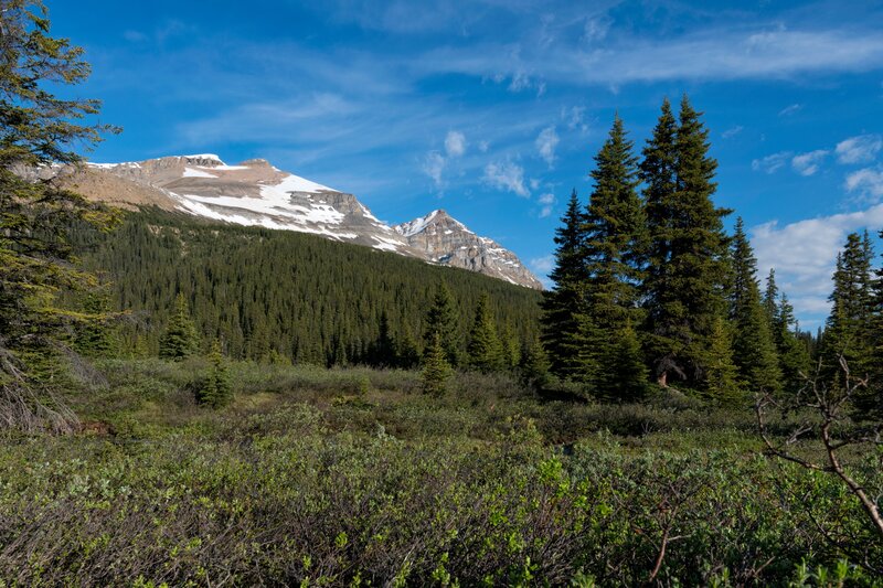 Snow-capped Mountain Range — Blue, Serene, Afternoon, Photograph, Forest, Trees