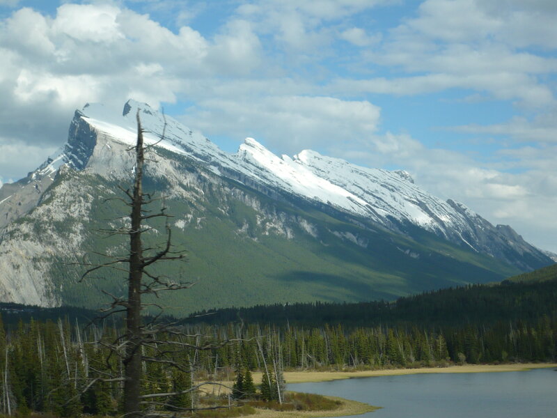Snow-capped Mountain Range — Blue, Serene, Afternoon, Photograph, Lake, Forest, Dead Tree
