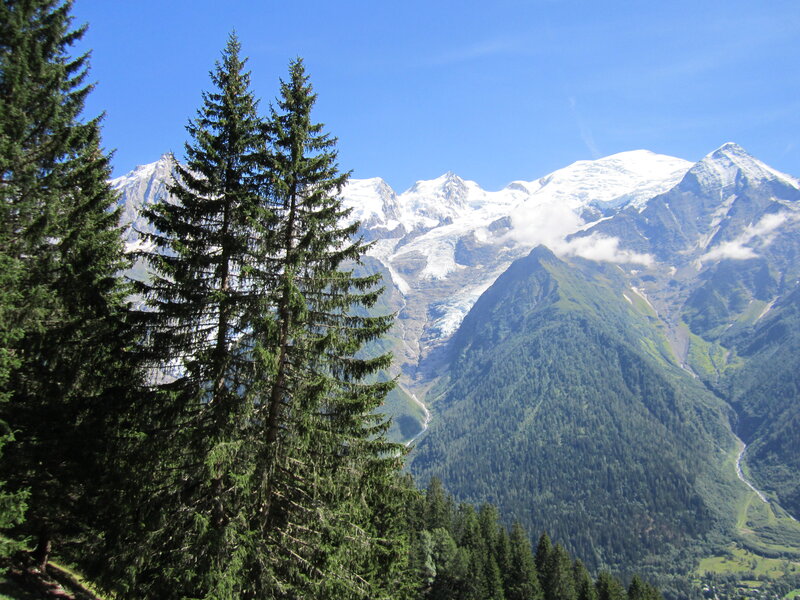 Snow-capped Mountain Range — Blue, Serene, Afternoon, Photograph, Pine Trees