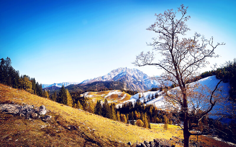 Snow-capped Mountain Range — Blue, Serene, Autumn, Photograph, Tree