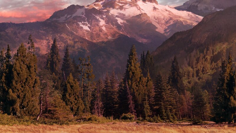 Snow-capped Mountain Range — Brown, Serene, Sunset, Photograph, Forest