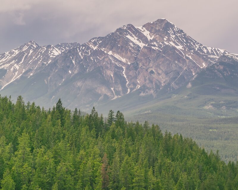Snow-capped Mountain Range — Green, Dramatic, Photograph, Forest