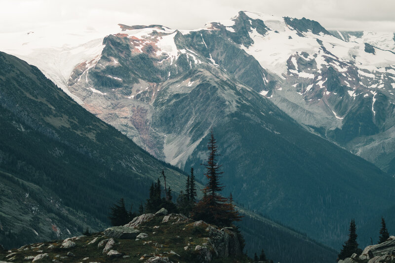 Snow-capped Mountain Range — Green, Dramatic, Photograph, Trees