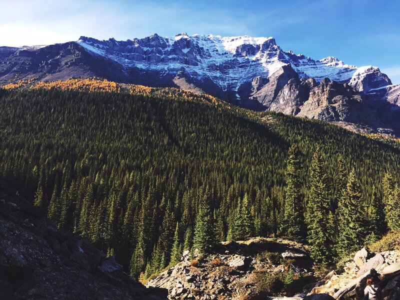 Snow-capped Mountain Range — Green, Serene, Afternoon, Photograph, Forest, Trees