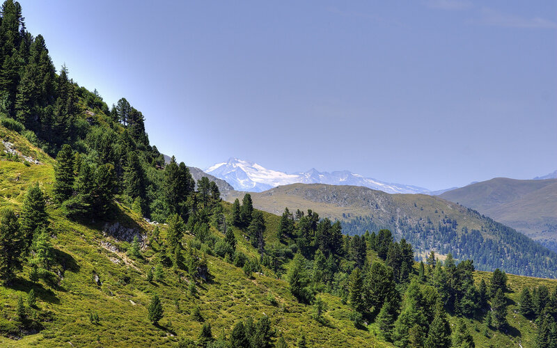 Snow-capped Mountain Range — Green, Serene, Afternoon, Photograph, Mountains, Trees