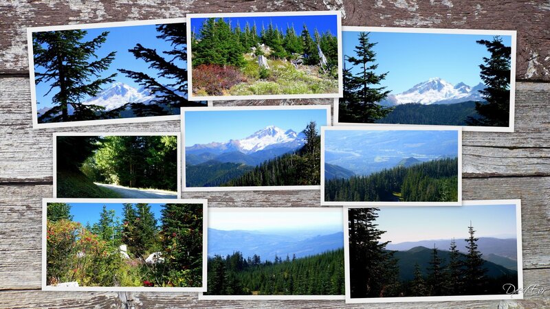 Snow-capped Mountain Range — Green, Serene, Afternoon, Photograph