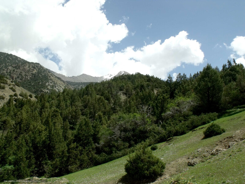 Snow-capped Mountain Range — Green, Serene, Afternoon, Photograph, Trees, Clouds