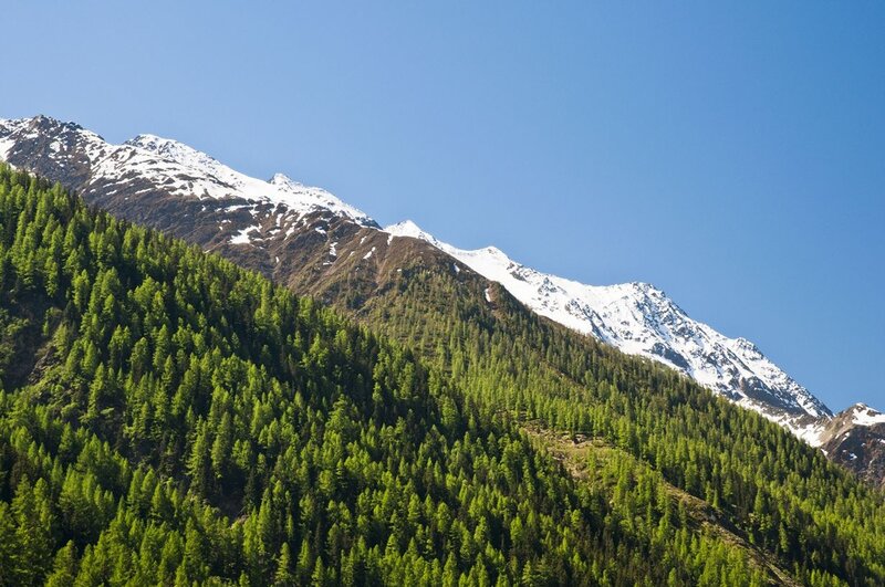 Snow-capped Mountain Range — Green, Serene, Summer, Photograph, Forest, Sky