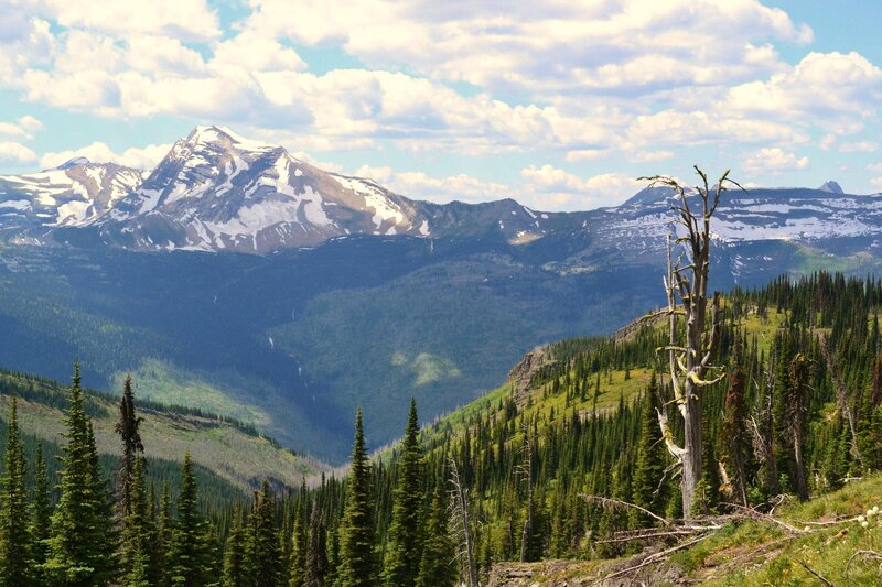 Snow-capped Mountain Range — Green, Serene, Summer, Photograph