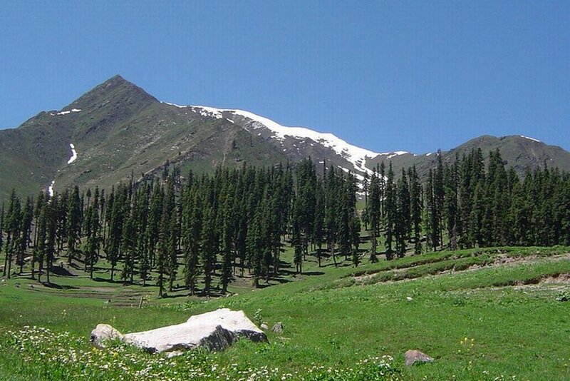 Snow-capped Mountain Range — Green, Serene, Summer