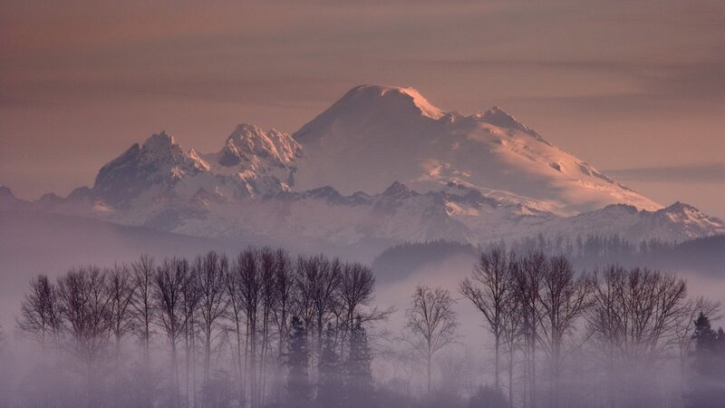 Snow-capped Mountain Range — Purple, Serene, Morning