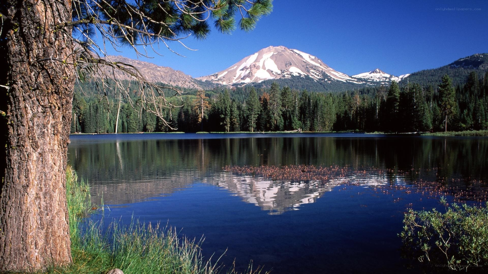 Snow-capped mountain reflected in a lake