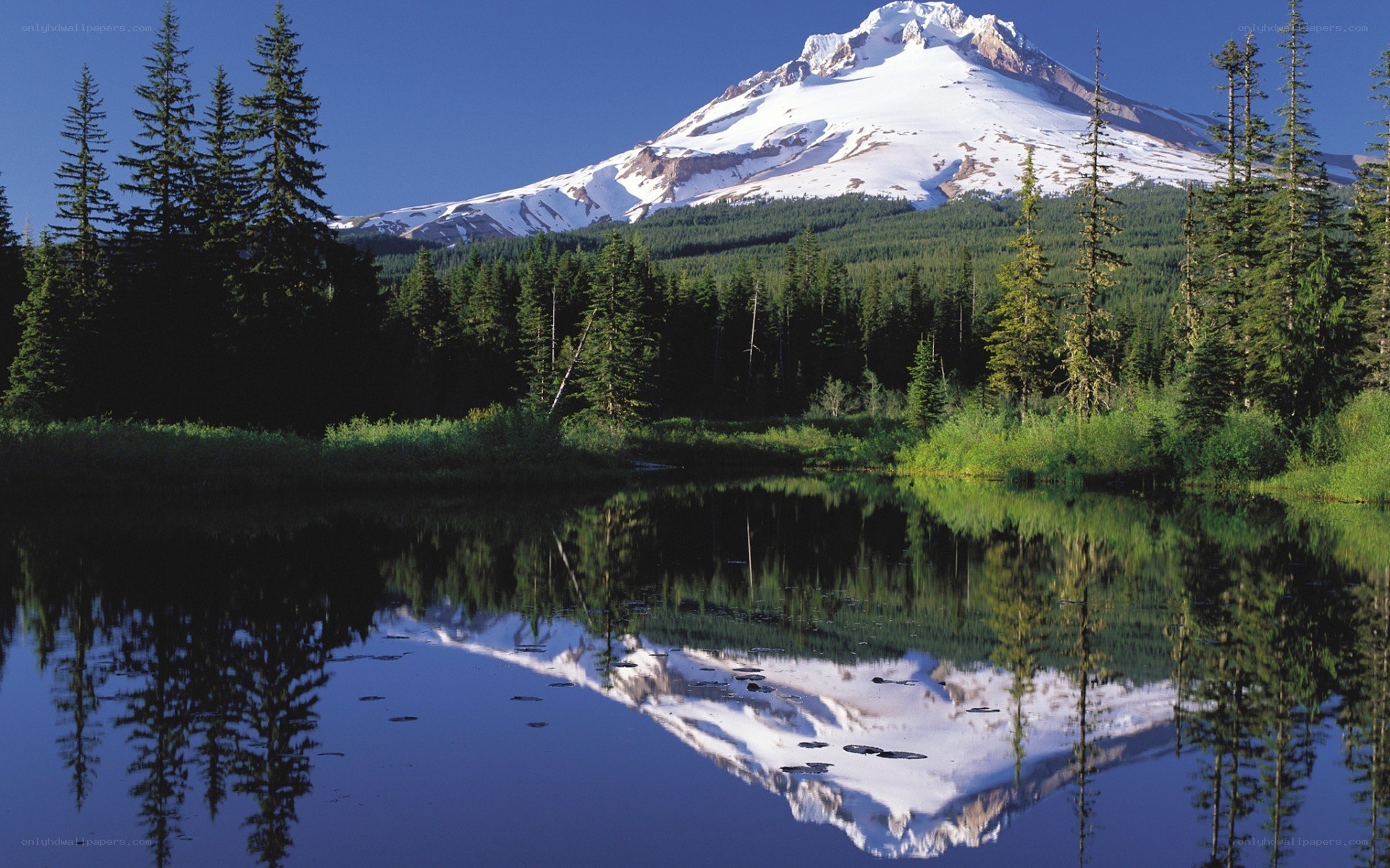 Snow-capped mountain reflected in lake