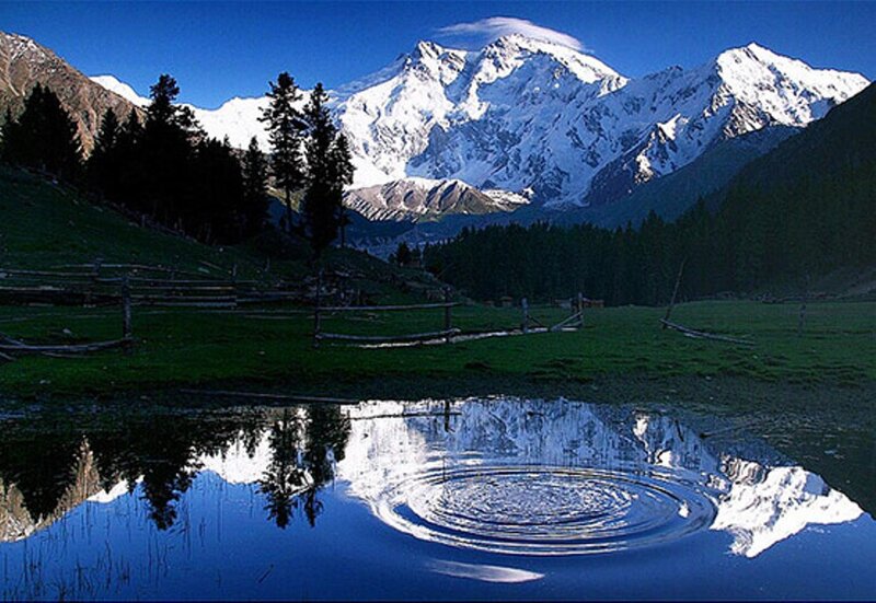 Snow-capped Mountain Reflection — Blue, Serene, Afternoon, Photograph, Lake, Trees, Fence