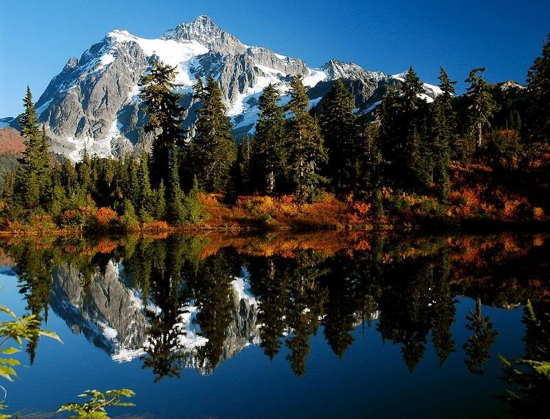 Snow-capped Mountain Reflection — Blue, Serene, Autumn, Photograph, Trees