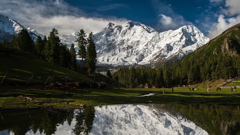 Snow-capped Mountain Reflection — Green, Serene, Afternoon, Photograph