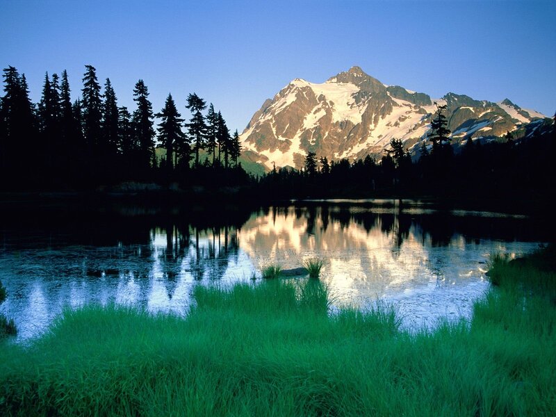 Snow-capped Mountain Reflection — Green, Serene, Morning