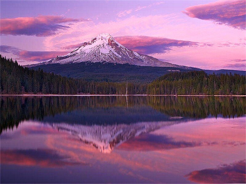 Snow-capped Mountain Reflection — Purple