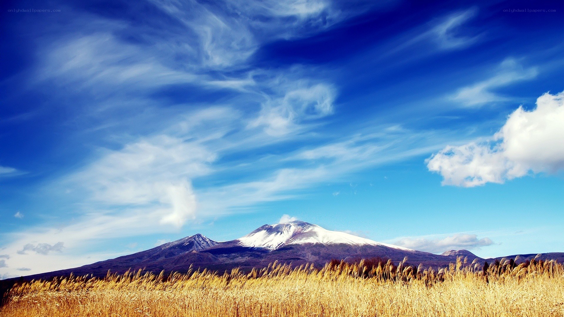 Snow-capped mountain under blue sky