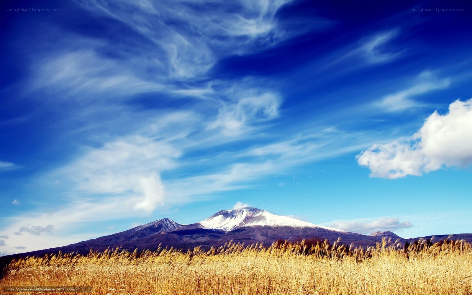 Snow-capped mountain under blue sky