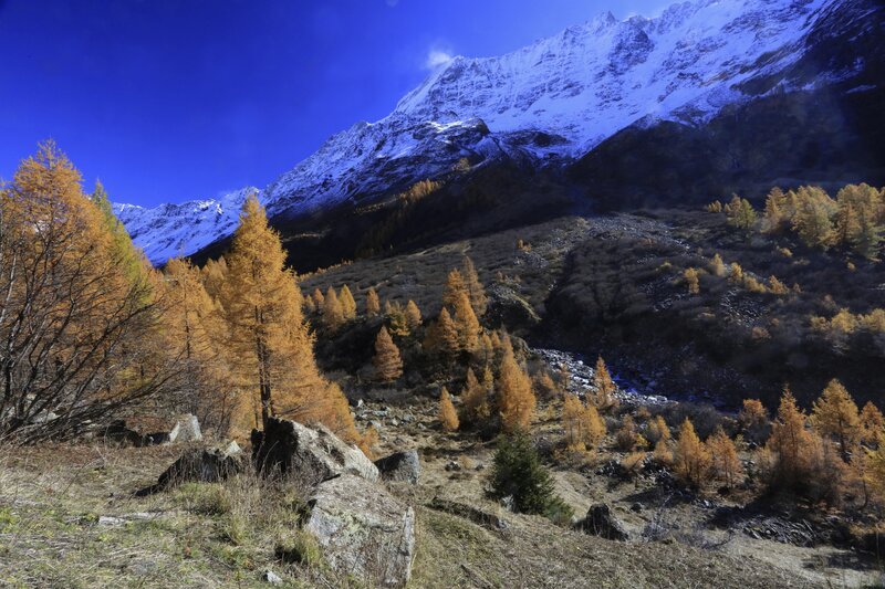 Snow-capped Mountain Valley — Blue