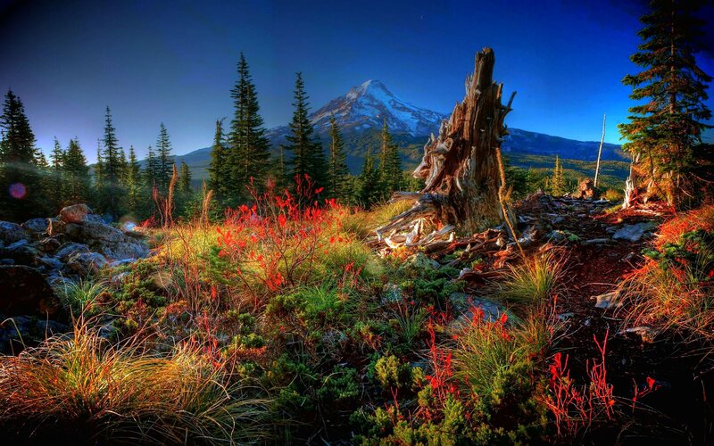 Snow-capped Mountain View — Blue, Dramatic, Morning