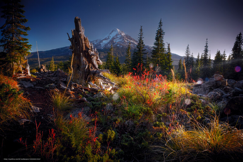 Snow-capped Mountain View — Blue, Dramatic, Sunrise