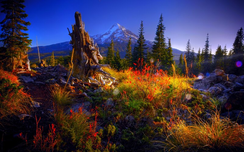 Snow-capped Mountain View — Blue, Dramatic, Sunset