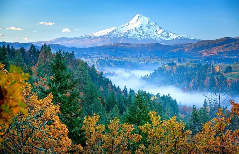 Snow-capped Mountain View — Blue