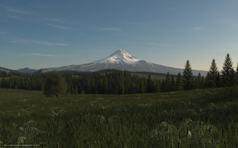 Snow-capped Mountain View — Green, Serene, Morning