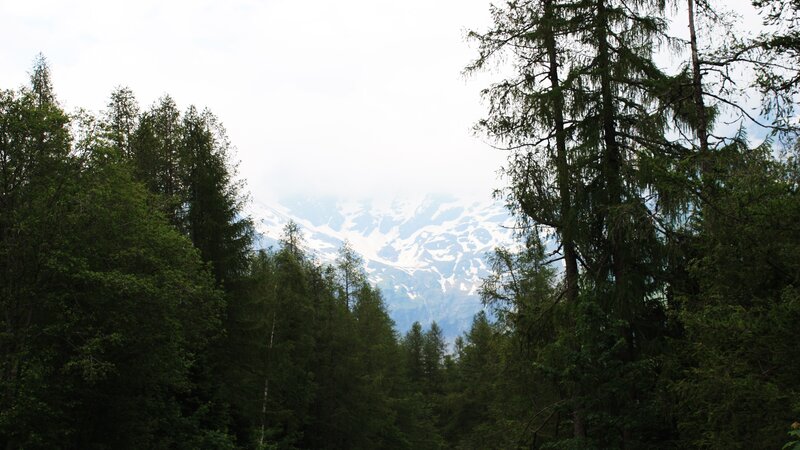 Snow-capped Mountain View — Green, Serene, Summer, Photograph