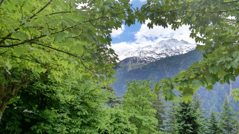 Snow-capped Mountain View — Green, Serene, Summer