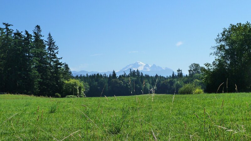Snow-capped Mountain View — Green