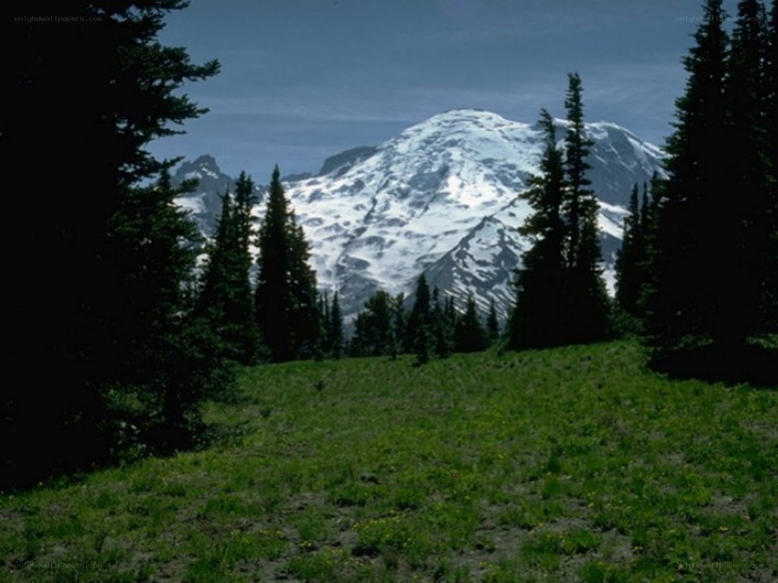 Snow-capped mountain view