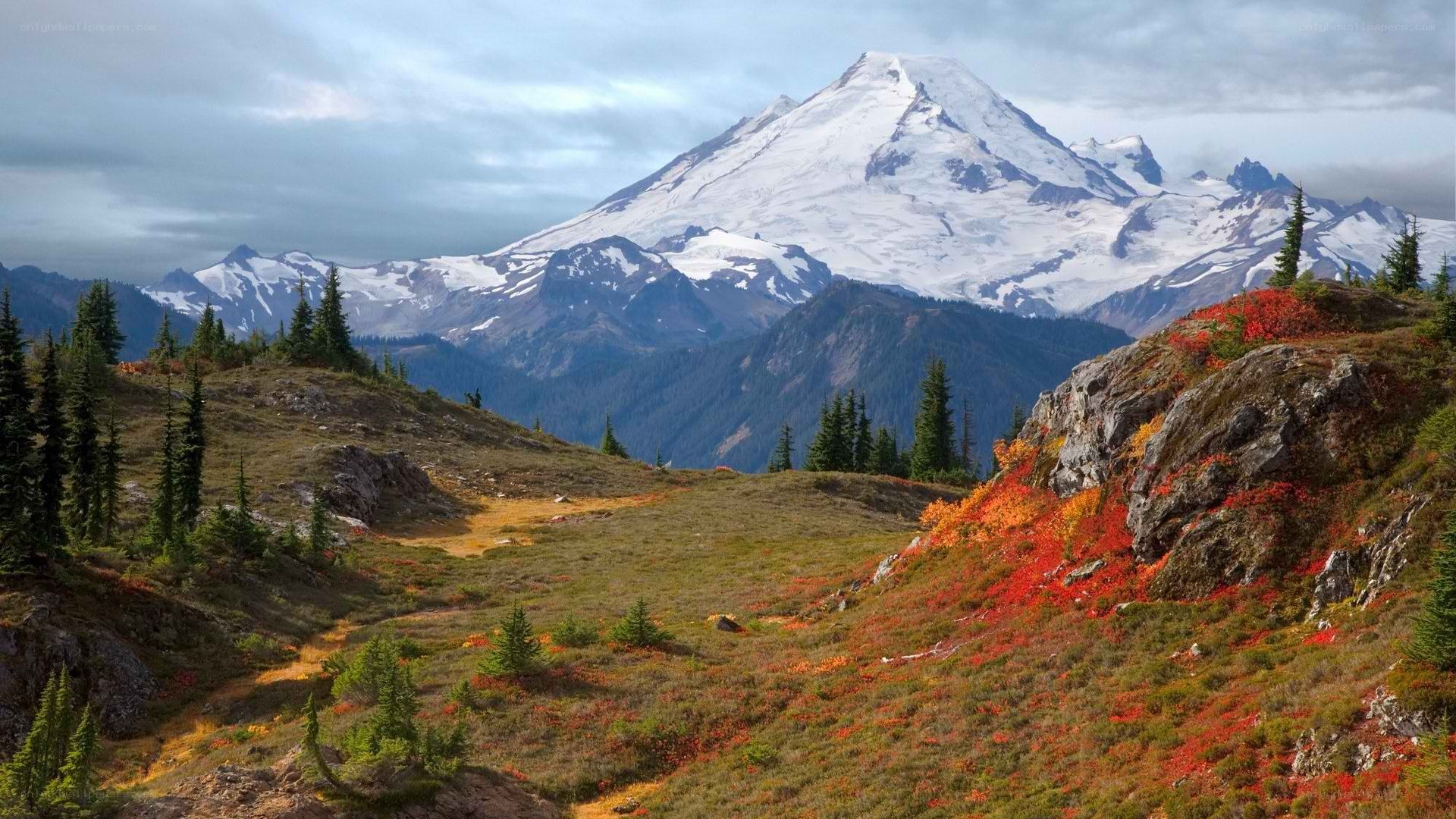 Snow-capped mountain with autumn foliage